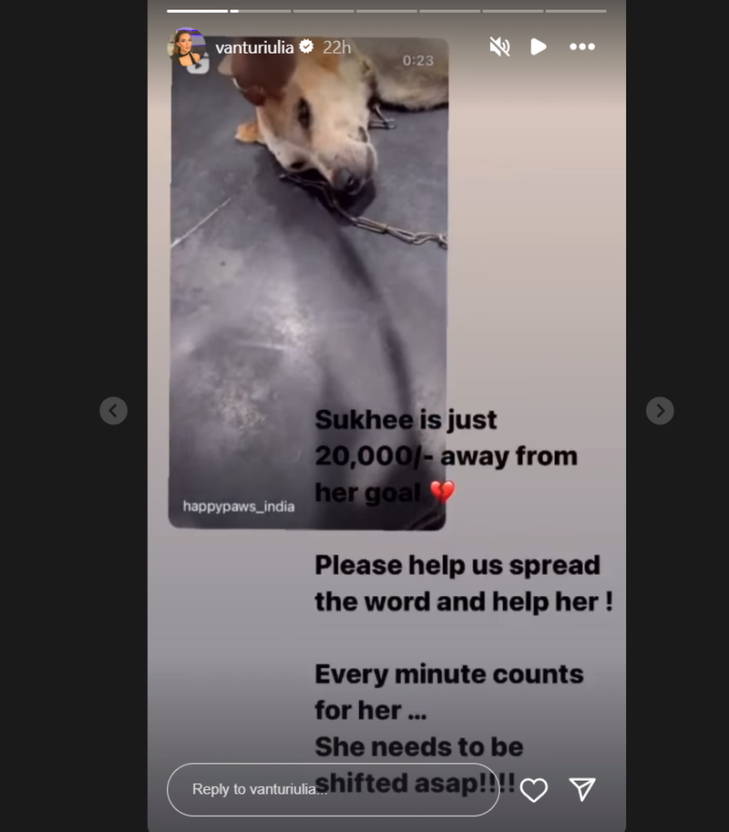  Iulia Vântur a lansat un strigăt de ajutor către fanii săi.