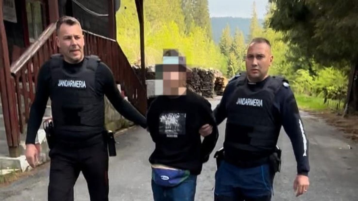 Tânărul care și-a ucis iubita ar fi fost internat în trecut la psihiatrie