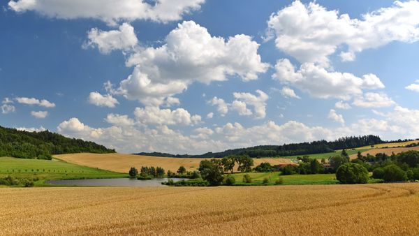 Vine vara &icirc;n Rom&acirc;nia! Unde se vor &icirc;nregistra și peste 29 de grade Celsius