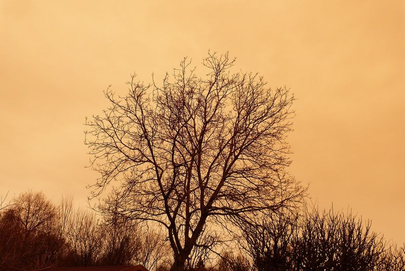 Un nou val de praf saharian va lovi România începând de marţi seară