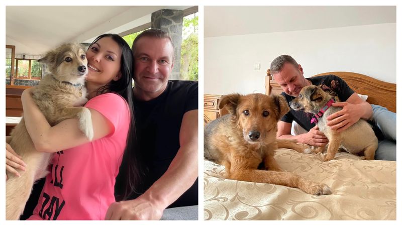 Angy, cățelușa salvată de Medana acum doi ani, a murit