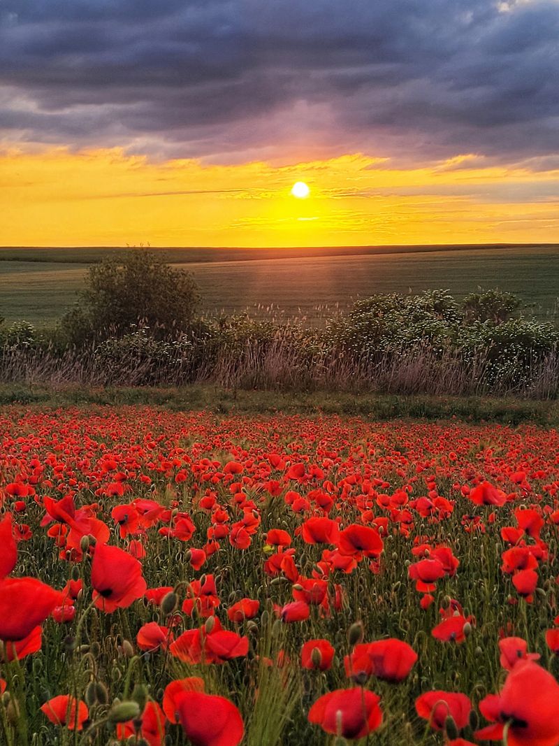 Răzvan ne-a mărturisit că iubește natura