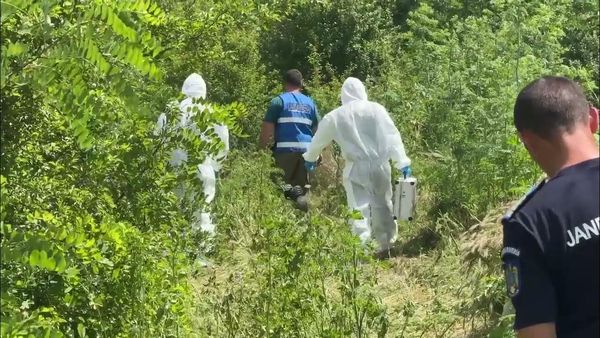 "Era o fată nevinovată". Ipoteza polițiștilor &icirc;n cazul fetiței de doi ani din Dolj găsită moartă. Rudele victimei vor fi duse la audieri