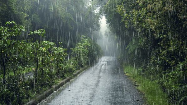 Avertizare meteo! Ploi torențiale, furtuni și grindină în cea mai mare parte a țării, până joi seara