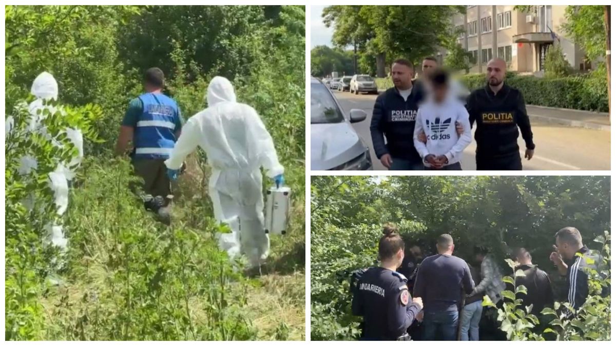 verişorul Raisei, fetița de doar 2 ani din Dolj, şi-a recunoscut fapta.