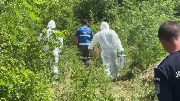 T&acirc;nărul de 15 ani a recunoscut crima. A povestit &icirc;n detaliu cum a ucis-o pe Raisa, fetița de doar 2 ani din Dolj