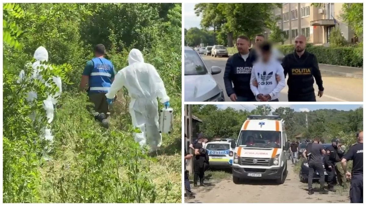 Băiatul de 15 ani din Dolj, motivul șocant pentru care a ucis-o pe verișoara sa, Raisa