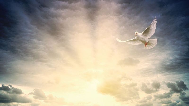 Câte zile libere au românii de Rusalii 2024?