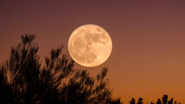 Luna Nouă din iunie 2024 aduce noi &icirc;nceputuri pentru aceste zodii: Ce ne spun astrele?