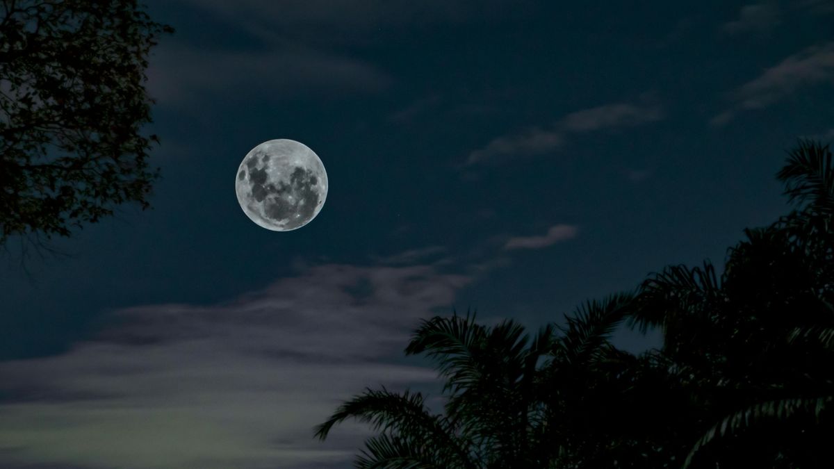 Luna Plină din iunie 2024