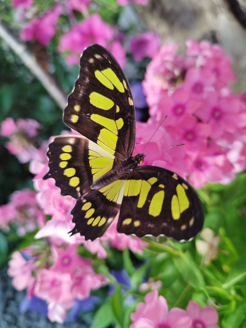 Vezi aici top 7 muzee mai puțin cunoscute