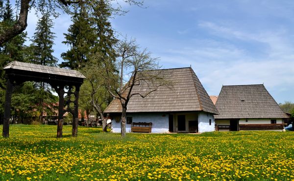 Top 7 muzee mai puțin cunoscute din Rom&acirc;nia
