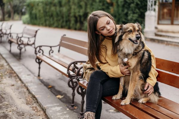 Jobul bănos de care tot mai mulți rom&acirc;ni s-au apucat! C&acirc;t c&acirc;știgă o bonă de animale &icirc;n Rom&acirc;nia
