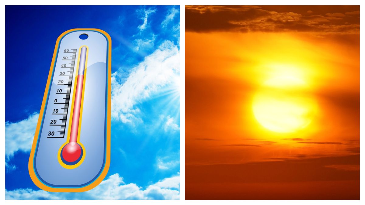 Cod portocaliu de caniculă 