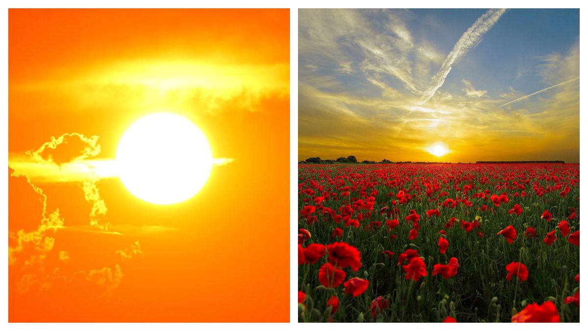 Când are loc solstițiul de vară 2024 