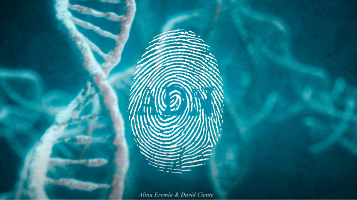 Alina Eremia x David Ciente - ADN