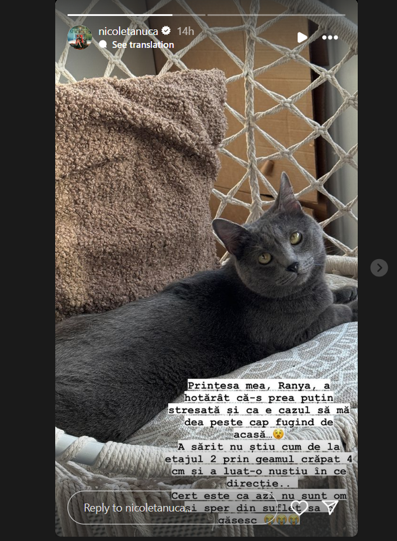 Nicoleta Nucă și-a pierdut pisica