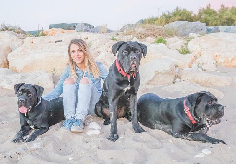 Andreea Ibacka și-a pierdut cățeii