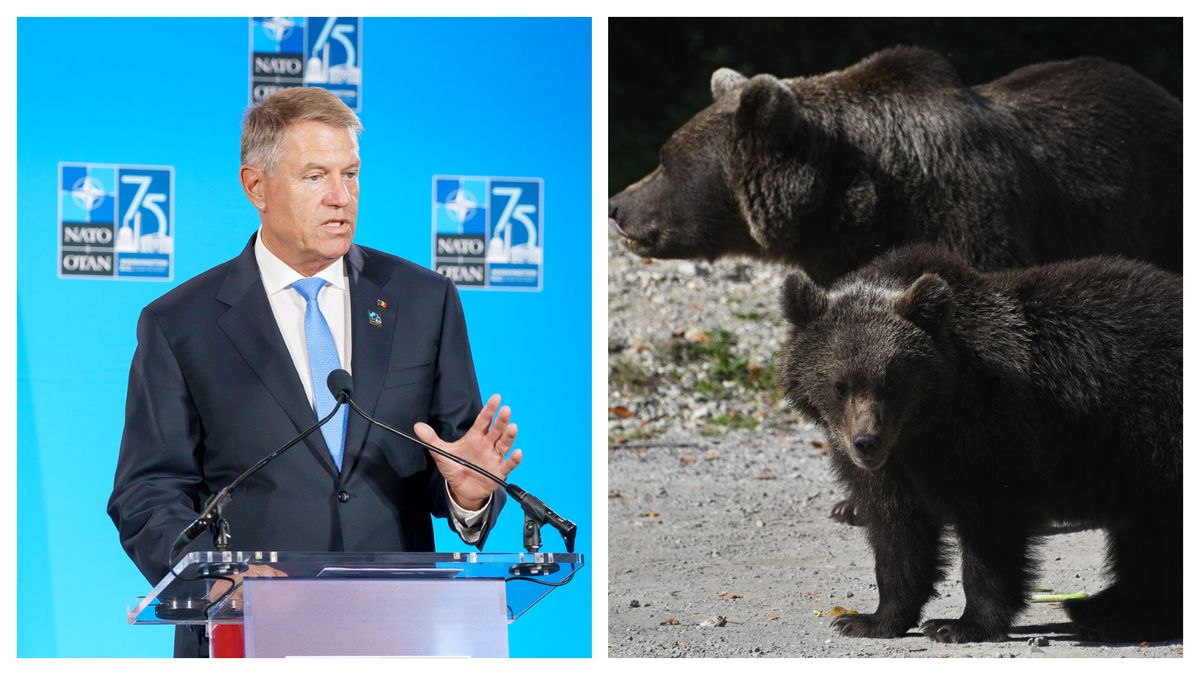 Klaus Iohannis, despre tragedia din Munții Bucegi