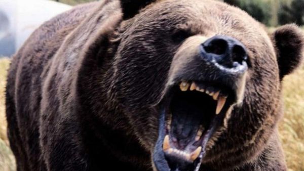 Cine era, de fapt, baiatul care a însoțit-o pe Maria Diana pe traseul groazei