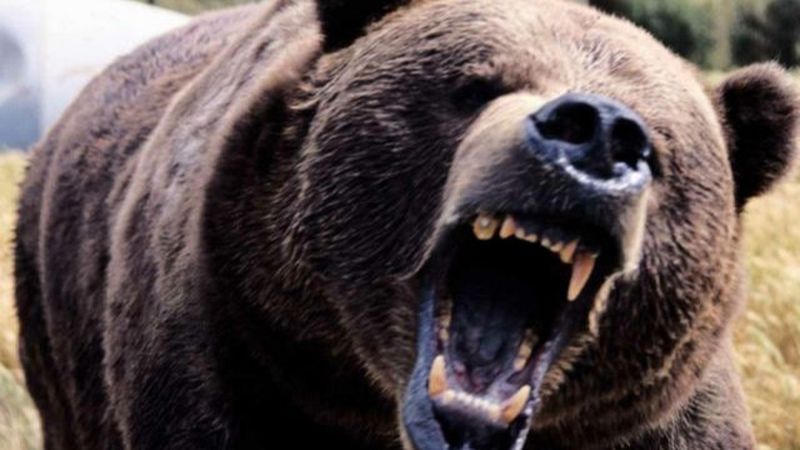 Cine era, de fapt, baiatul care a &icirc;nsoțit-o pe Maria Diana pe traseul groazei