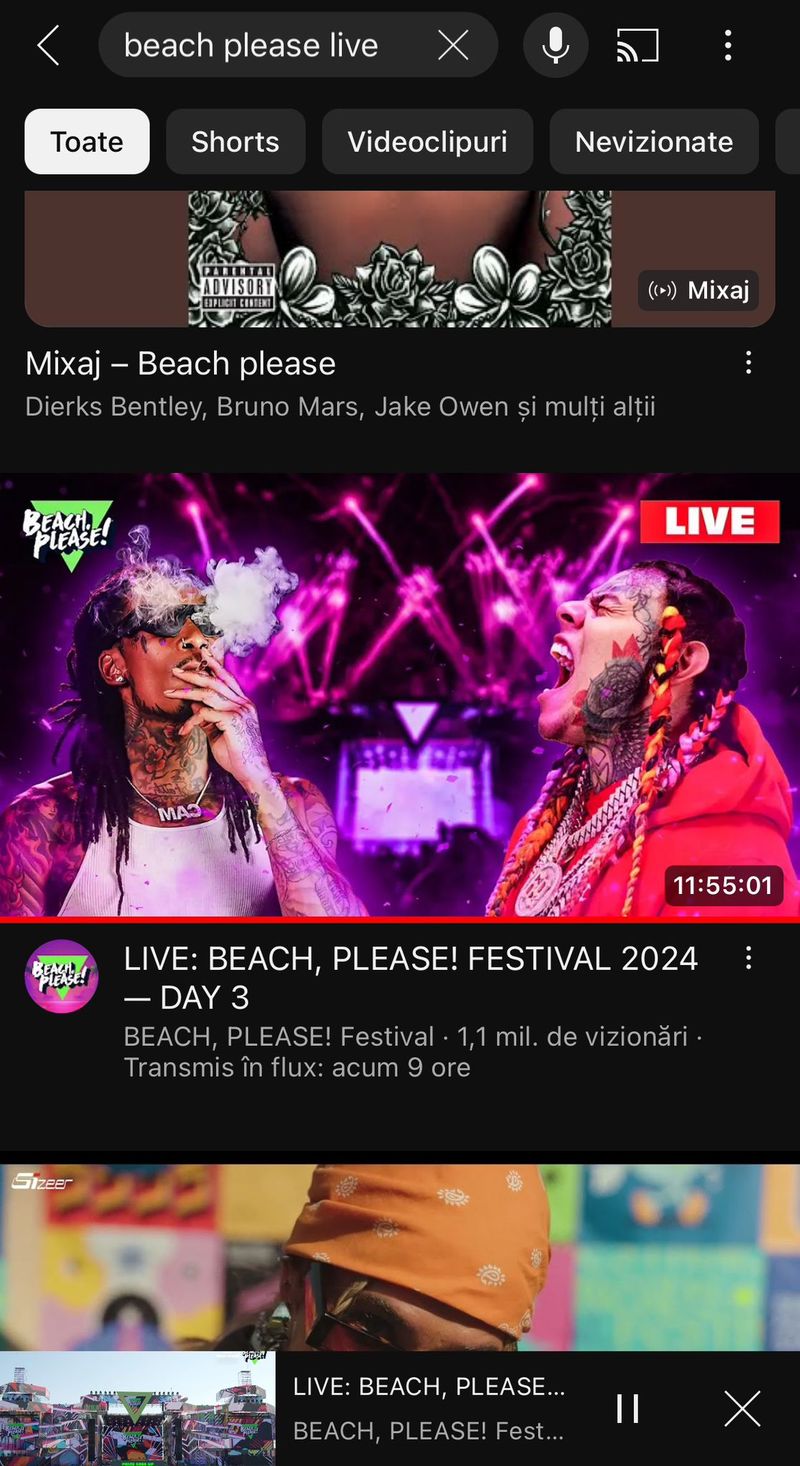 Selly, despre scandalul cu Wiz Khalifa de la Beach, Please!