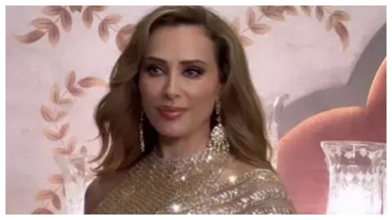 Iulia Vântur și Salman Khan au mers separat la nunta secolului din India. Relația lor, sub semnul întrebării