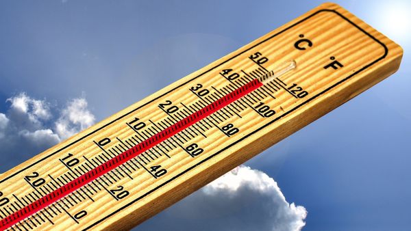 Cod roșu de caniculă! Valul de căldură atinge temperaturile record de 42 de grade. Ce recomandă specialiștii