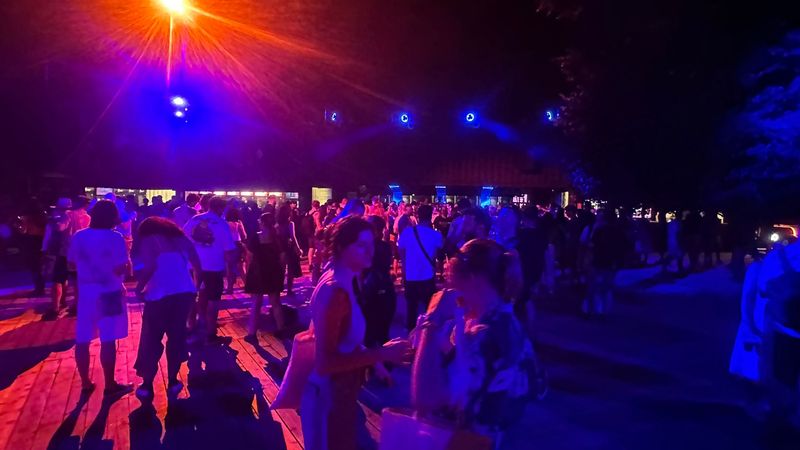 Cine urcă pe scenă în cea de-a doua zi de festival la Electric Castle 2024