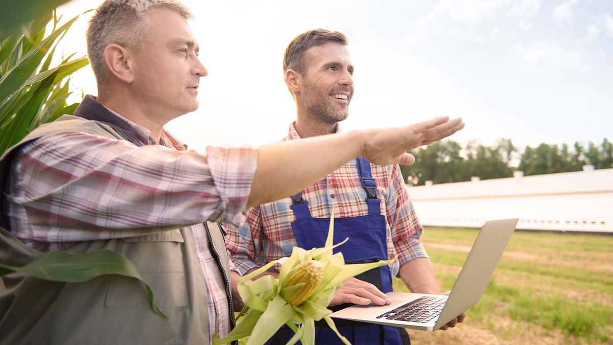 Investiții inteligente în agricultură