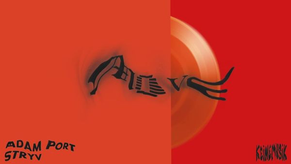 ADAM PORT & STRYV - Move