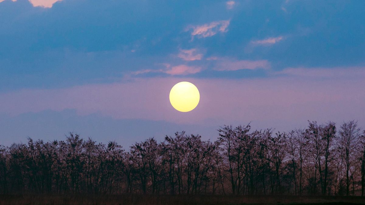 Află cum va apărea luna pe cer în august 2024