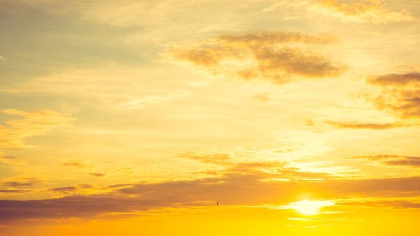 Meteorologii au emis un nou cod galben de caniculă! Când revin temperaturile de foc în București?