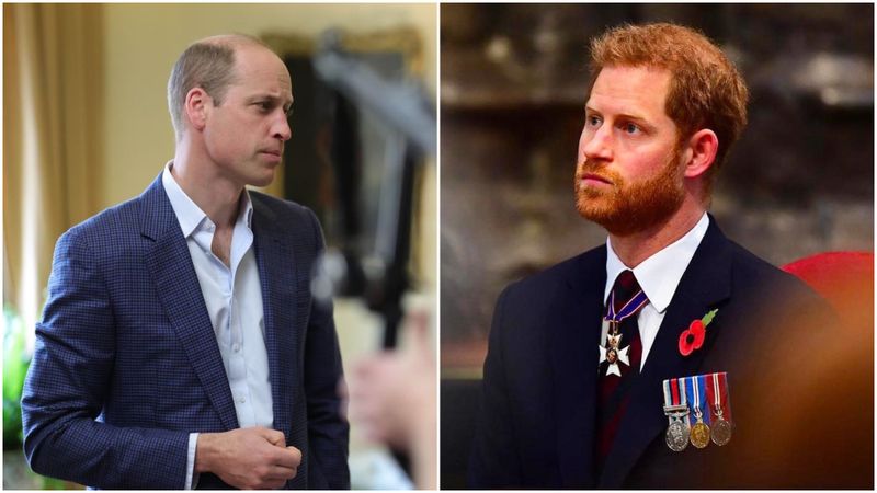 Lord Robert Fellowes a murit la 82 de ani. Prinții William și Harry, devastați de pierderea unchiului lor