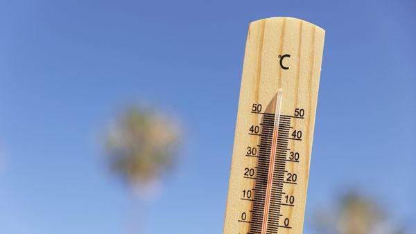 Cod galben și cod portocaliu de caniculă pentru vineri, 2 august 2024. Care sunt zonele vizate?