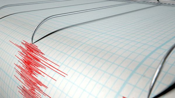 Cutremur semnificativ de magnitudinea 4,4 grade, &icirc;n Rom&acirc;nia. &Icirc;n ce zone s-a resimțit seismul