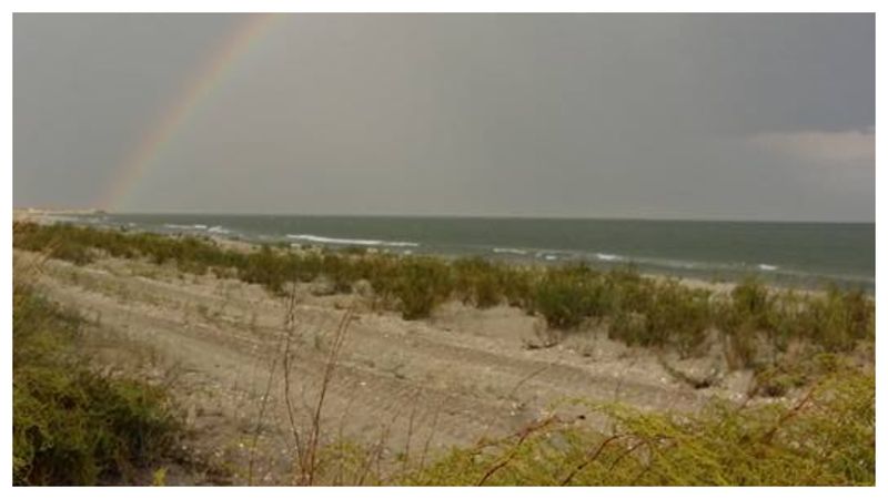 Niveluri periculoase de E.coli în apele de la Vadu și Corbu 