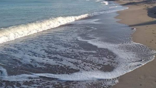 Pericol pe litoralul românesc! Apa Mării Negre, infectată cu bacteria E.coli. Ce recomandă specialiștii