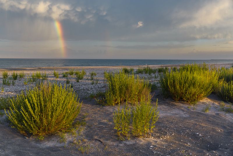  Apele de la Vadu și Corbu, contaminate cu E.coli 