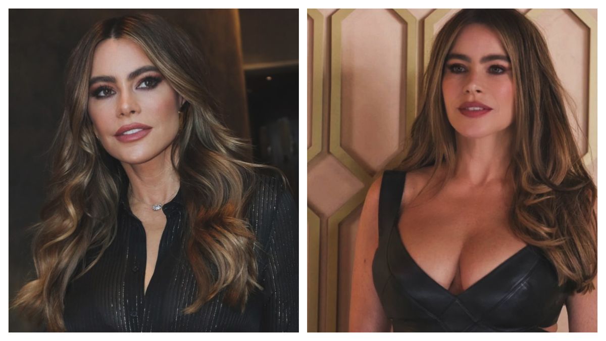 Sofia Vergara iubește din nou