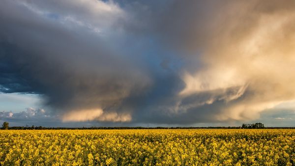 Cum va fi vremea în săptămâna 5-11 august: Ploi torențiale și fenomene extreme, urmate de caniculă și disconfort termic