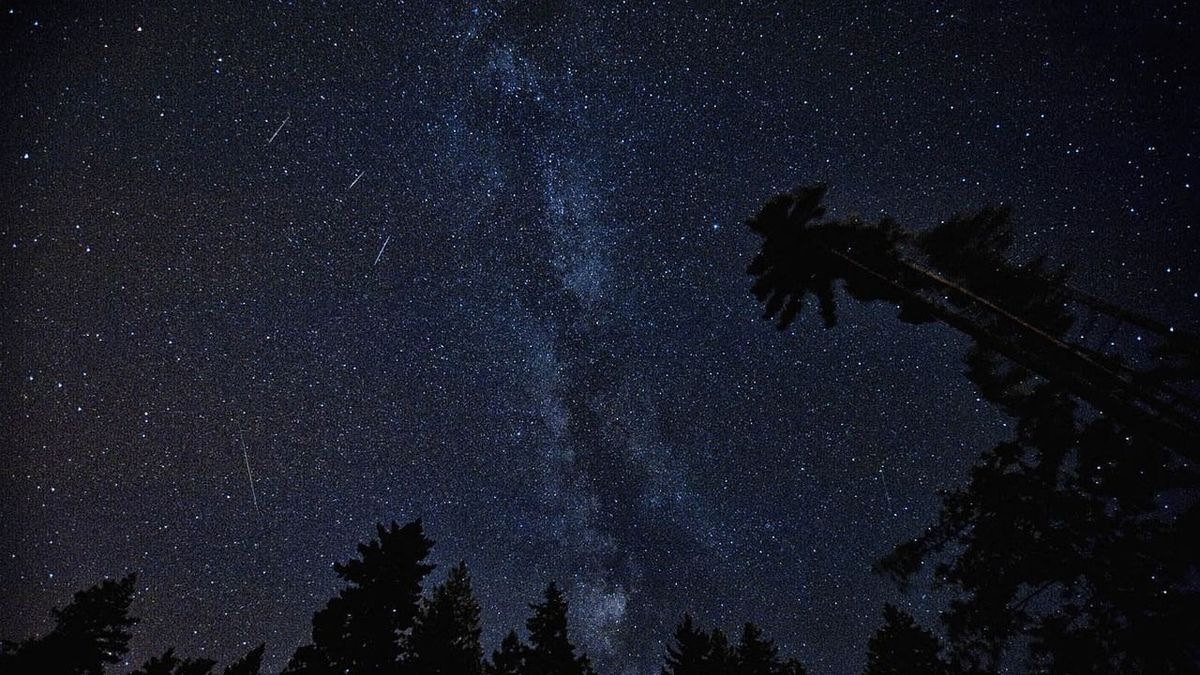 Când au loc Perseidele? 