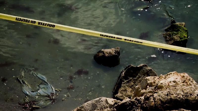  cine este tânărul de 21 de ani găsit mort pe un dig din Mamaia