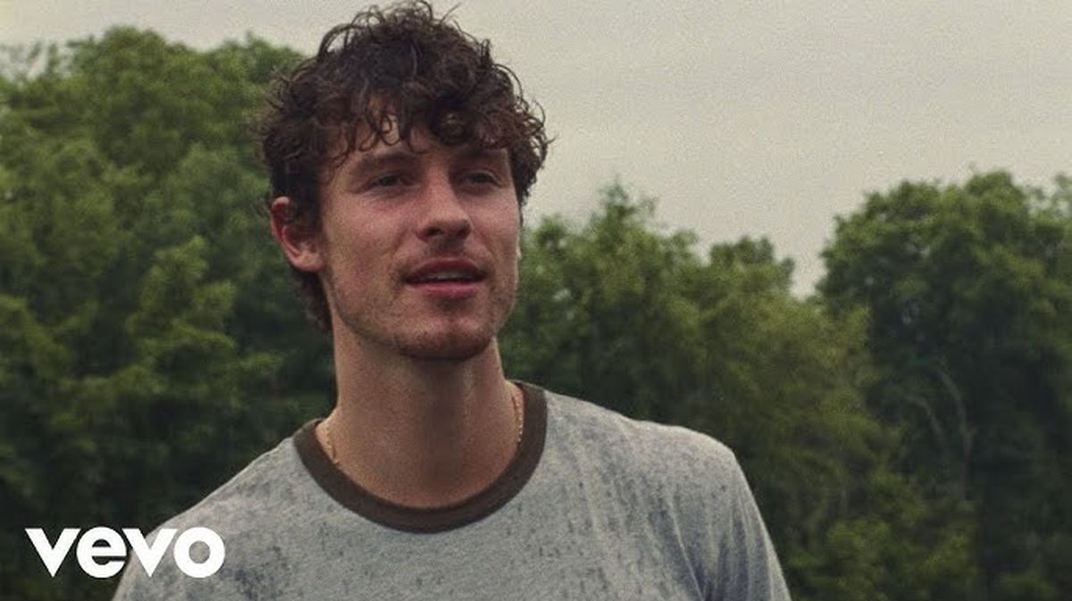 Shawn Mendes - Why Why Why