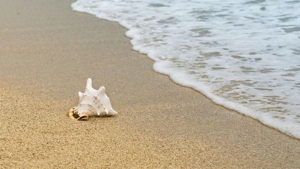 Câte zile libere vor avea românii de Sfânta Maria Mare