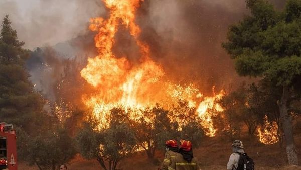 Incendiile din Grecia fac prima victimă! O femeie găsită decedată &icirc;ntr-un magazin distrus de foc