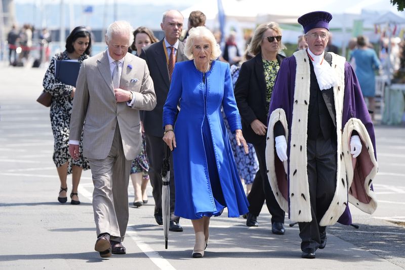 O autoare dezvăluie ce părere avea Prințesa Anne despre Camilla Parker