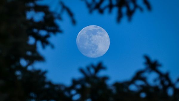 Ce impact are asupra vieții noastre Superluna Albastră, fenomenul astronomic de pe 19 august 2024