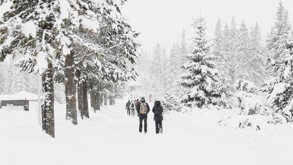 Meteorologii Accuweather anunță deja ninsori in România! De pe ce dată vedem prima zăpadă