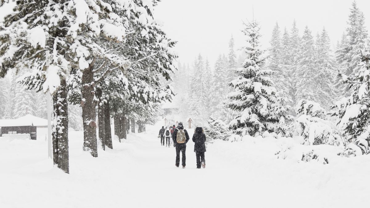 Cum va fi vremea în următoarele săptămâni? 